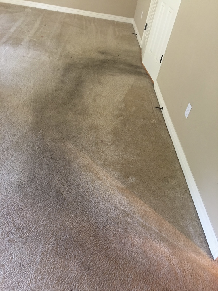 Dirty carpet in Round Rock Before